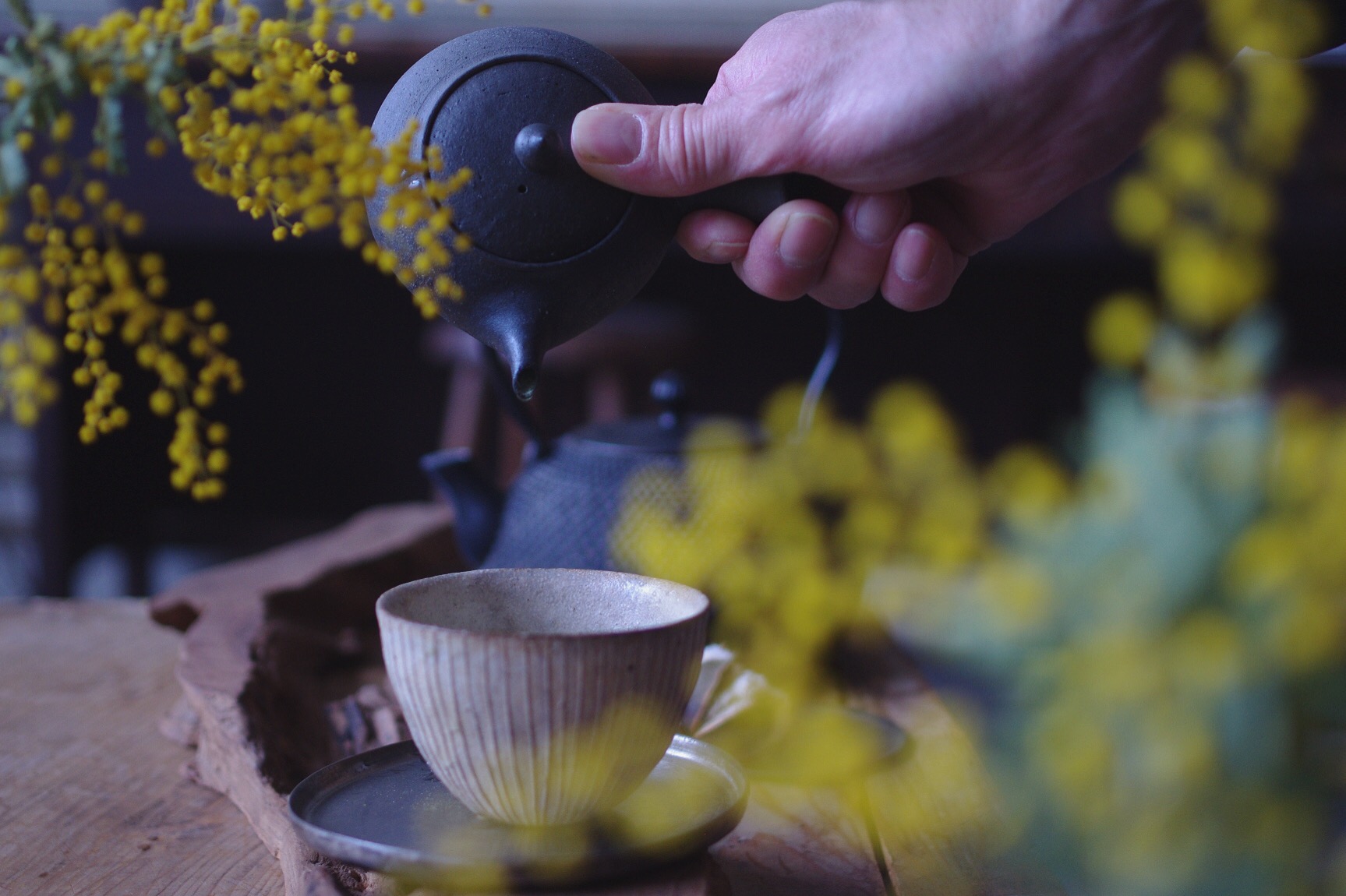 お茶とミモザ