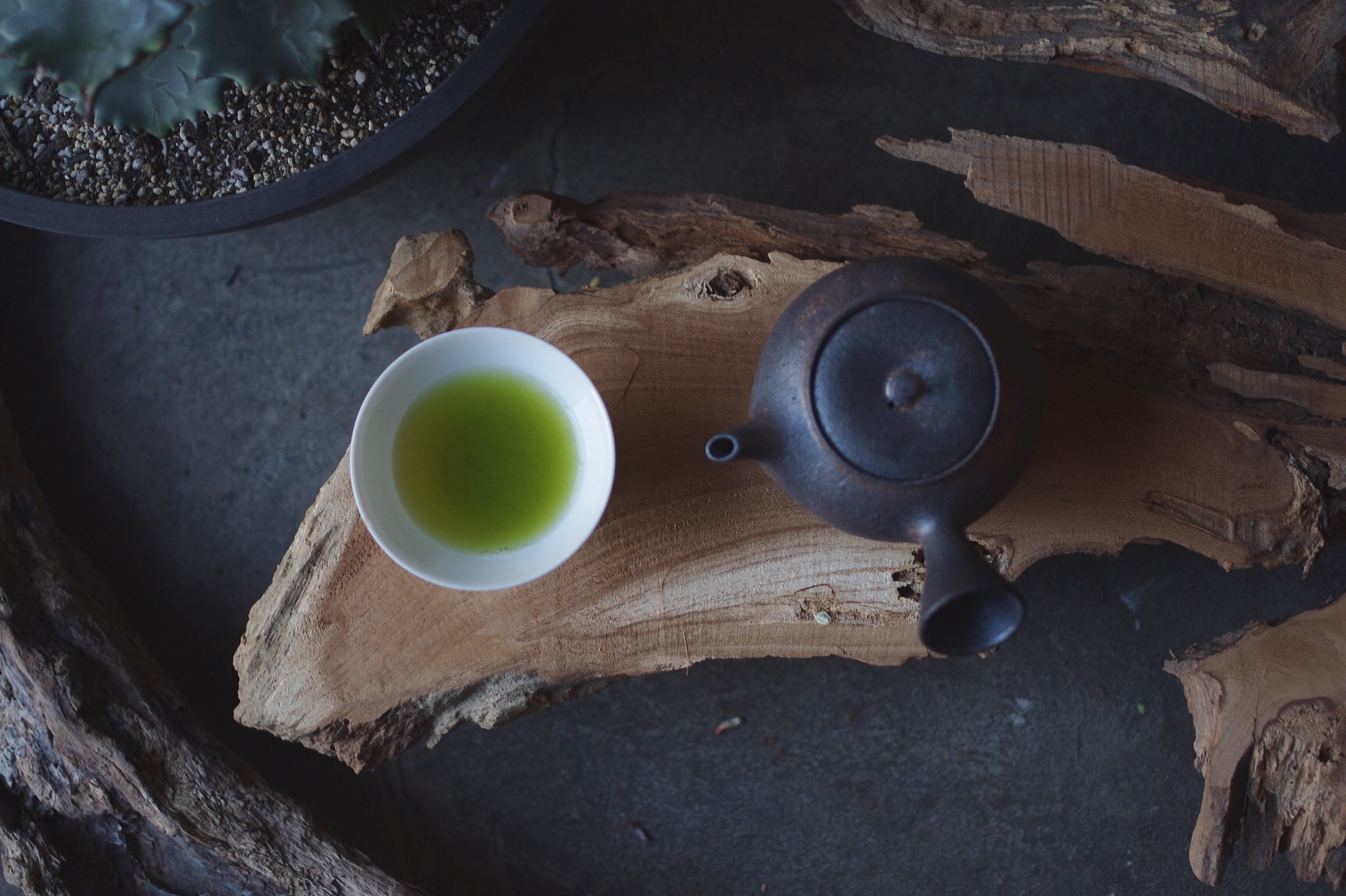 朝茶