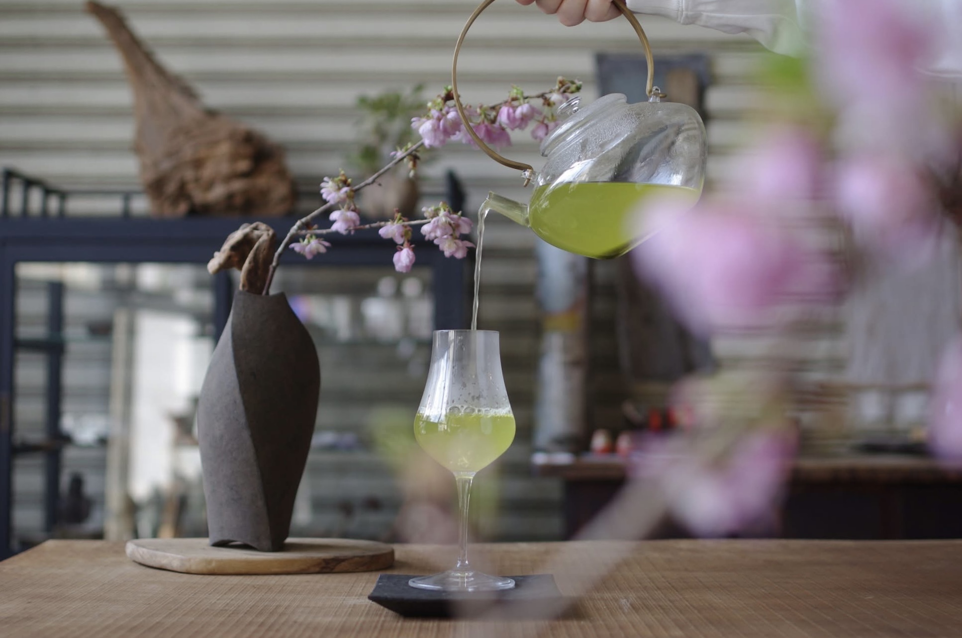 お茶と桜と