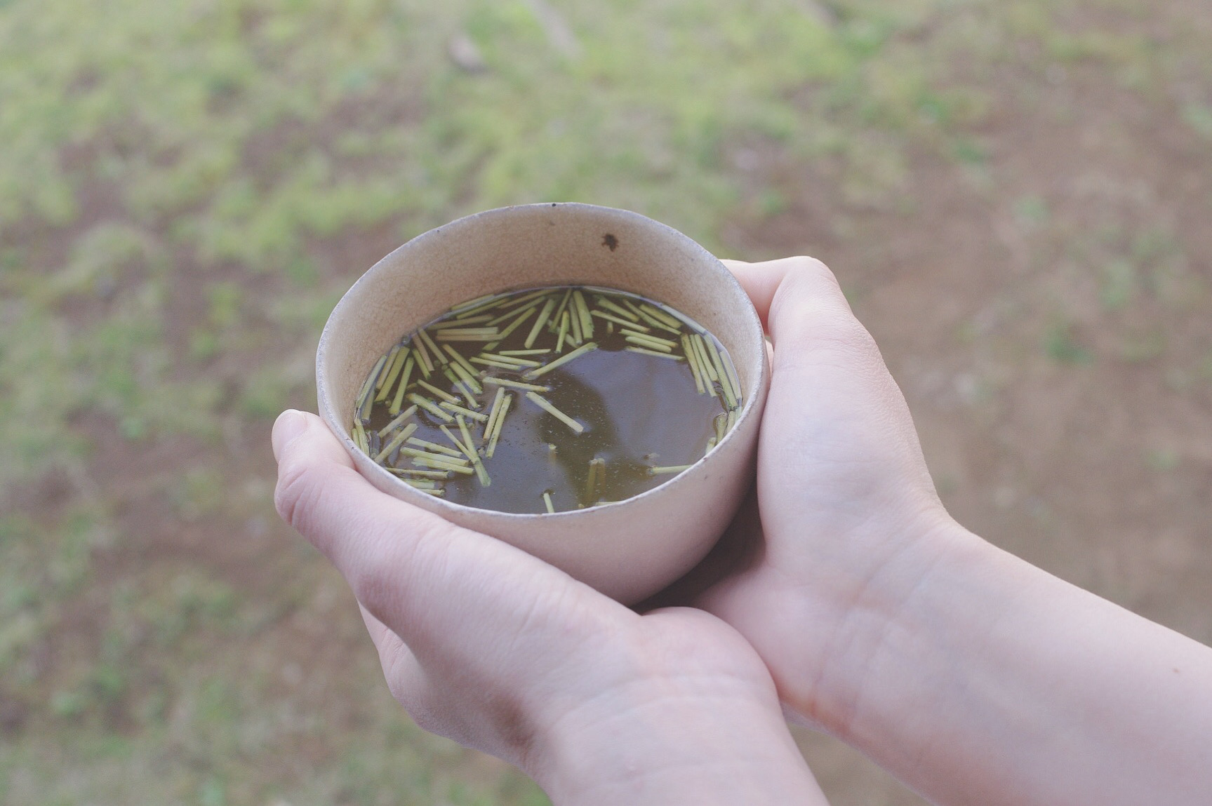 4月1日