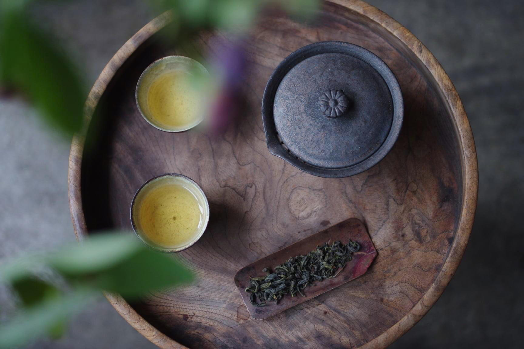 和烏龍茶