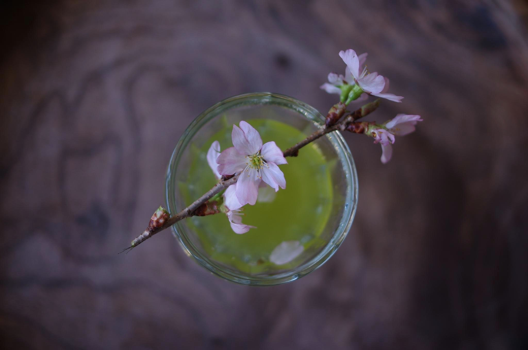 花と茶
