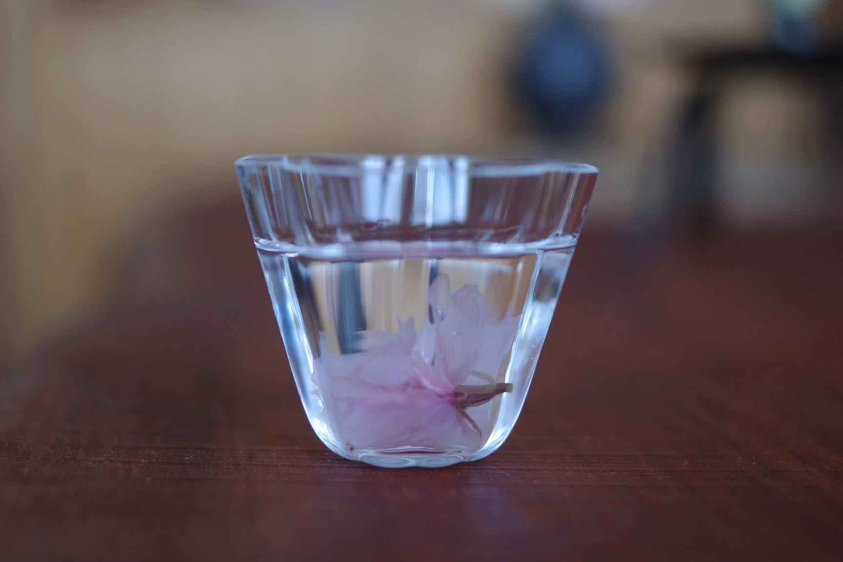 桜香煎