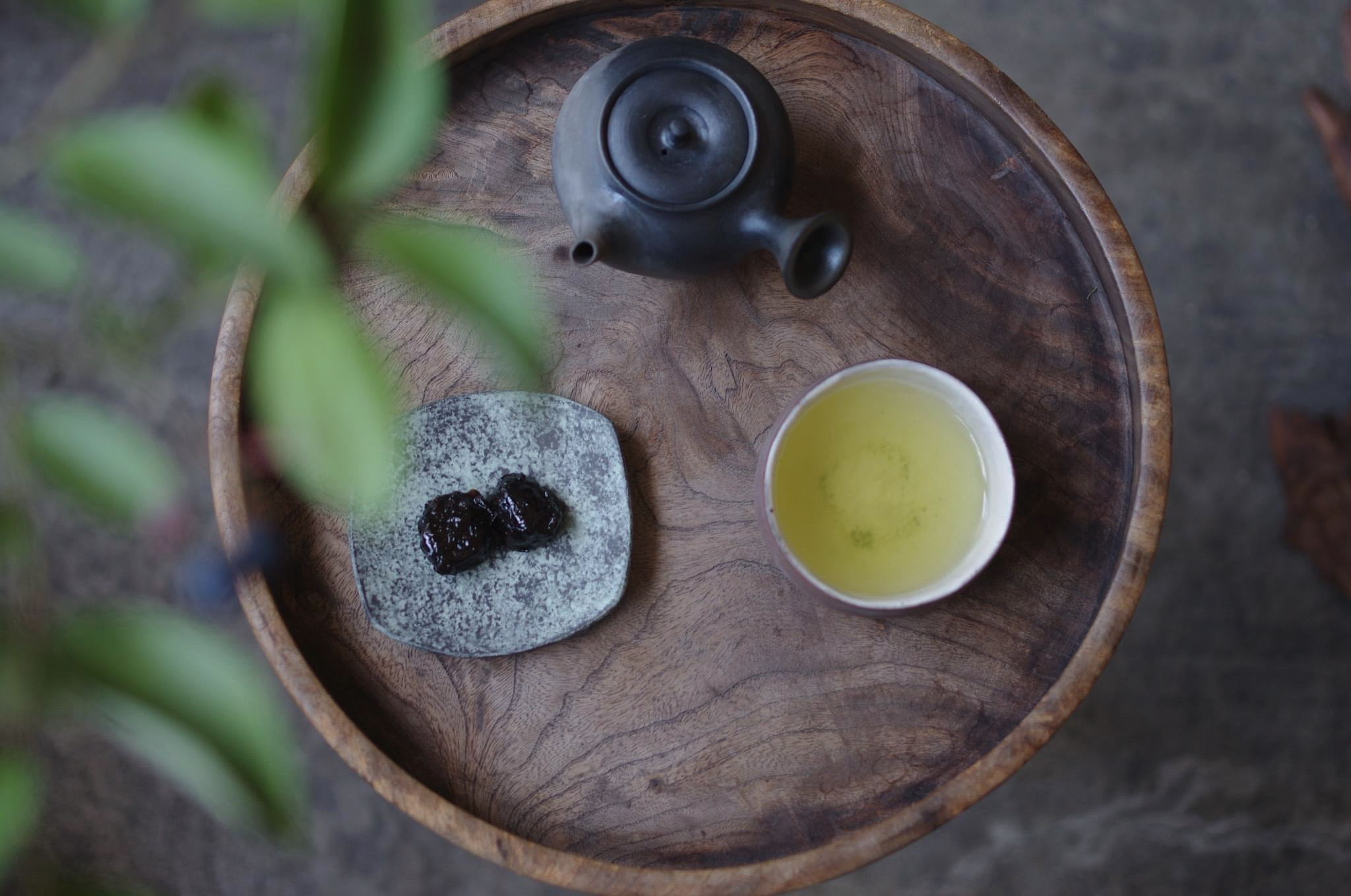 茶梅