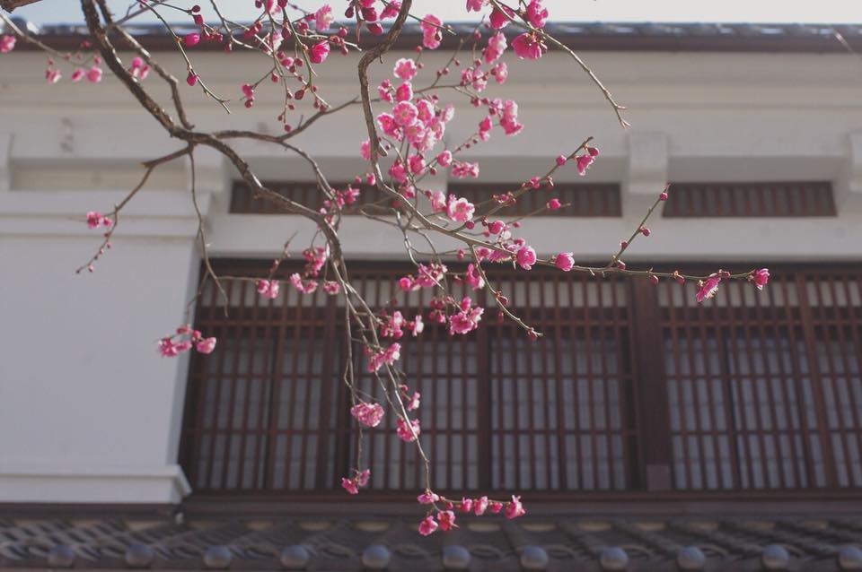 ３月も終わり。いよいよです。