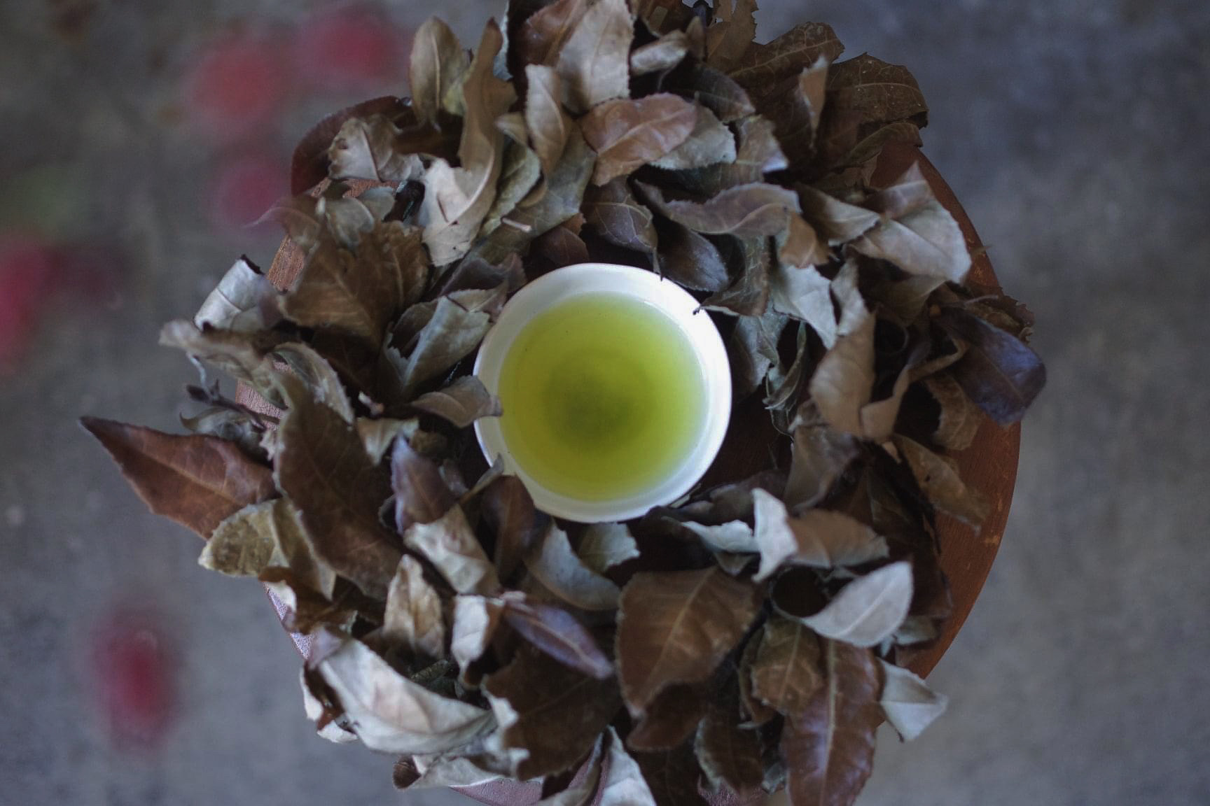 茶の葉リース