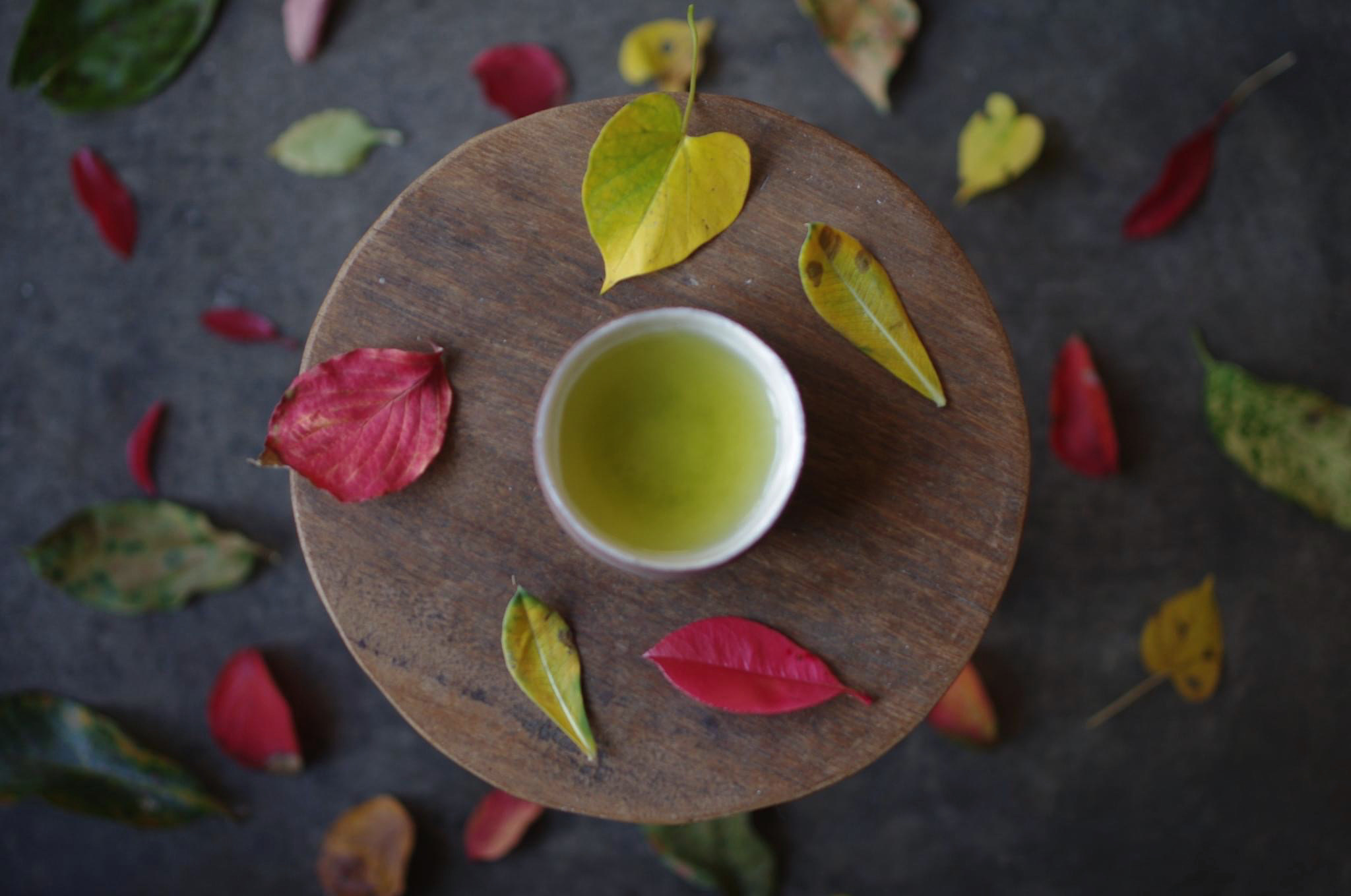 世界お茶祭り