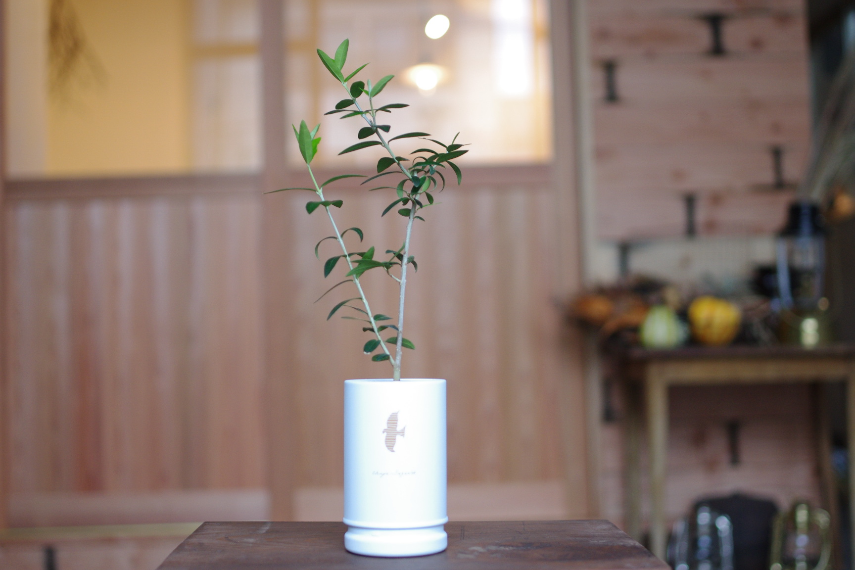 茶缶の新しい使い方