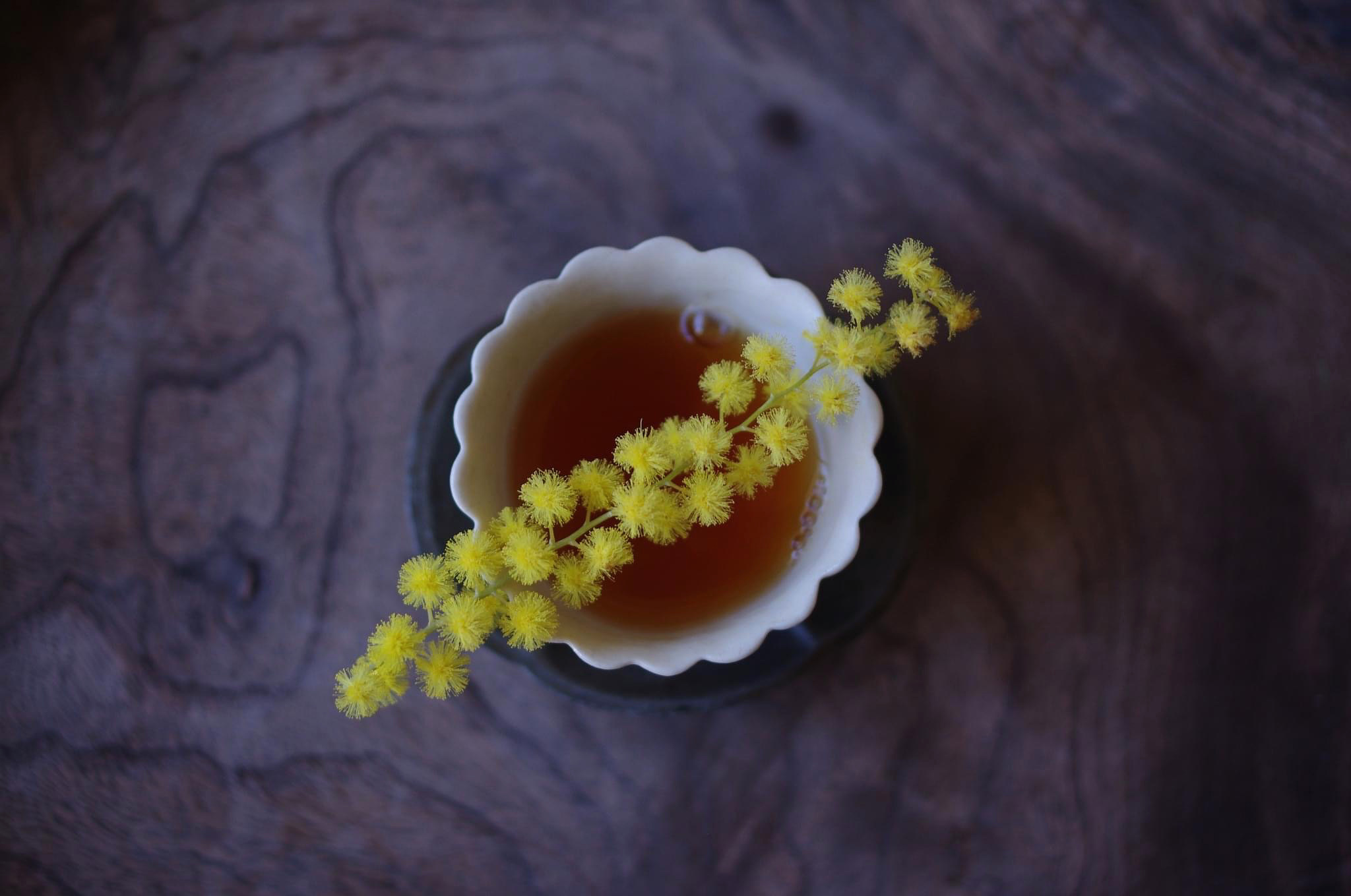 花と茶