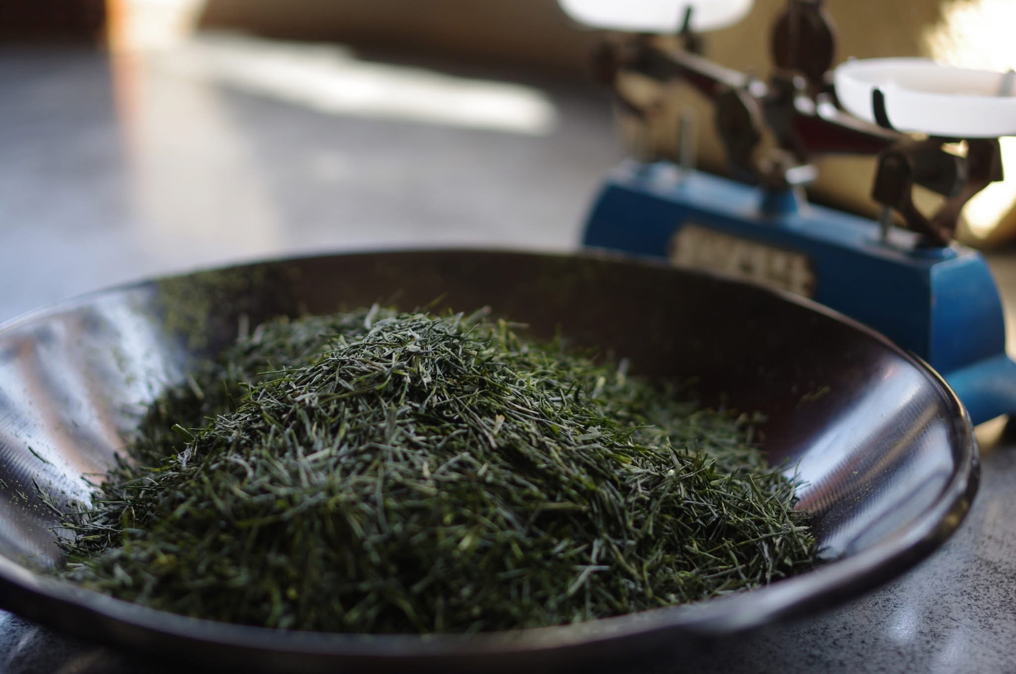 新茶