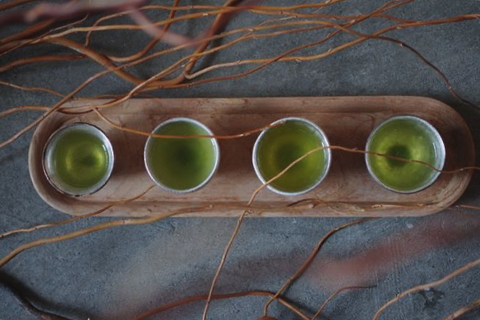 闘茶の会ワークショップ