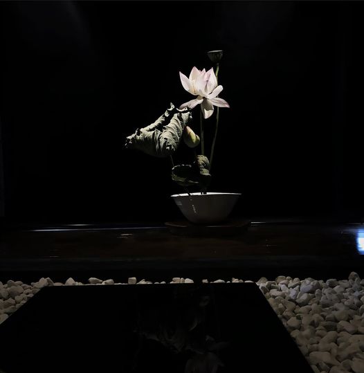 香茶「幻花幻草」