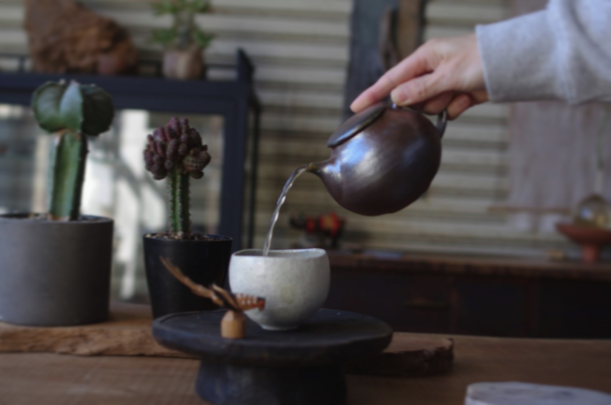 お茶の一滴