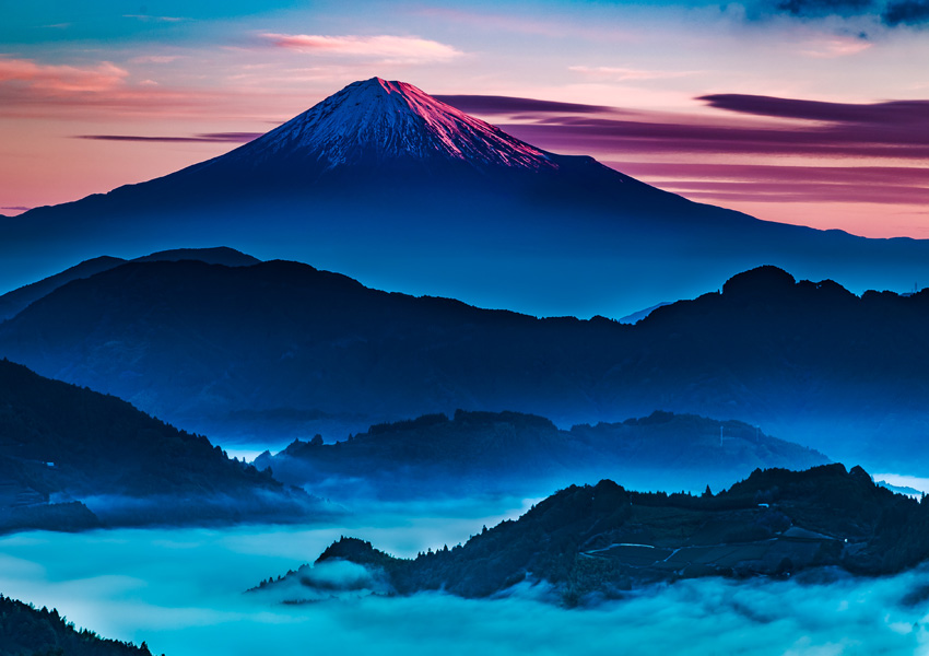 THE COVER NIPPON