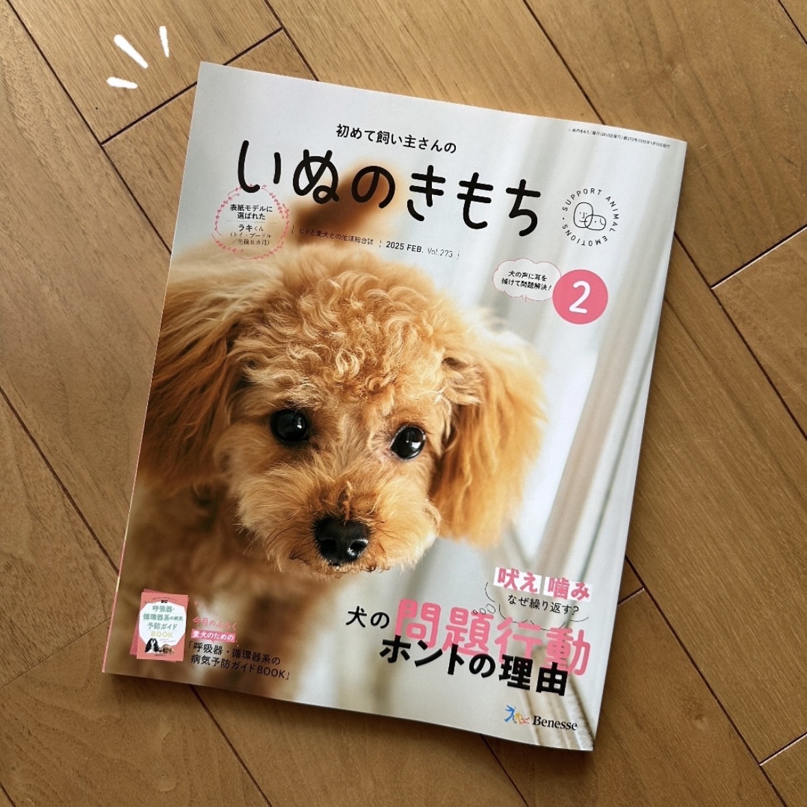 「いぬのきもち」に掲載されました！（2025/1/10お届け号広告掲載）