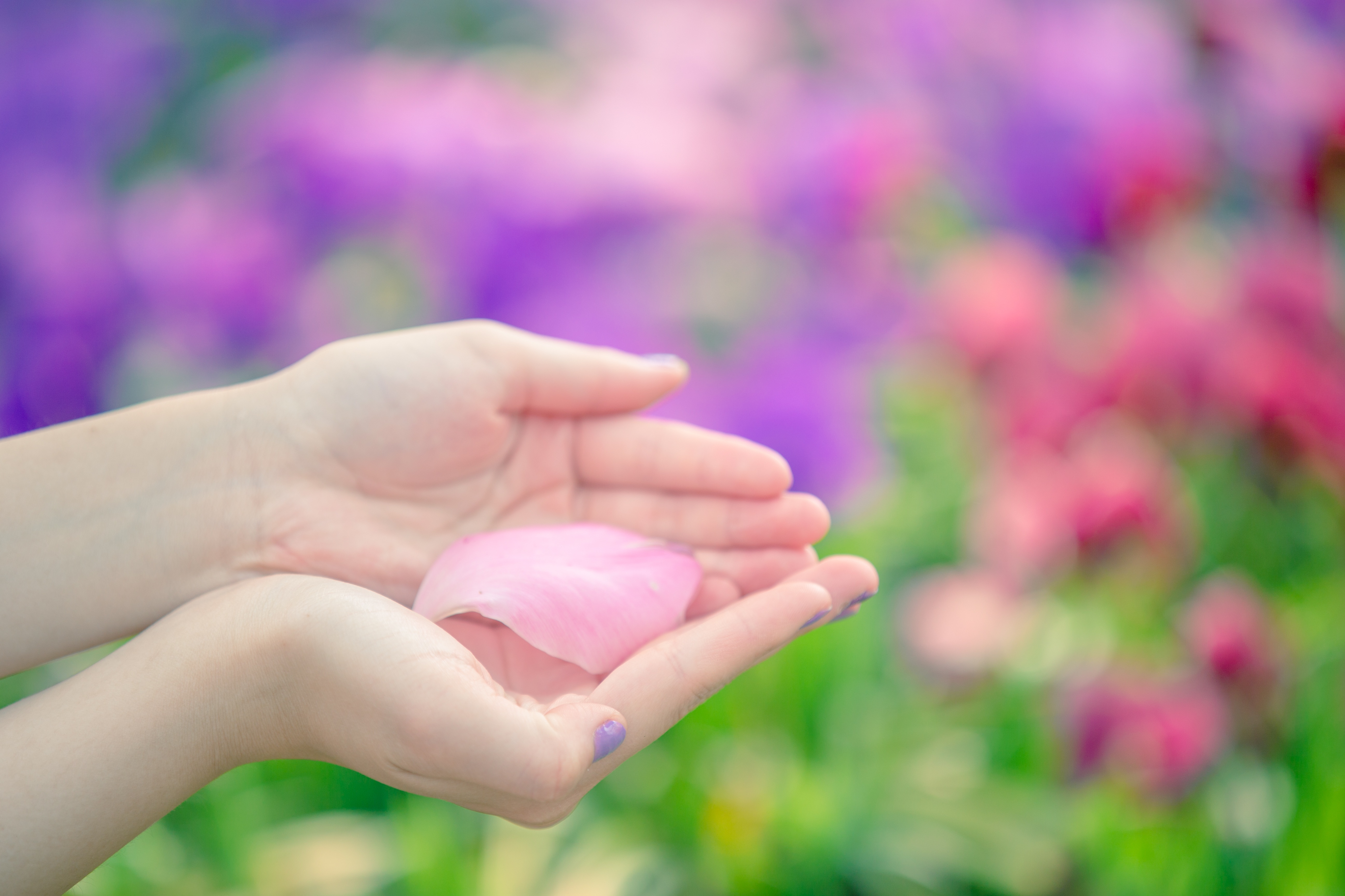 【保存版】なぜタロット占いをみんなが恐れ、そして惹かれるのか？そしてタロット占い師の役目とは！