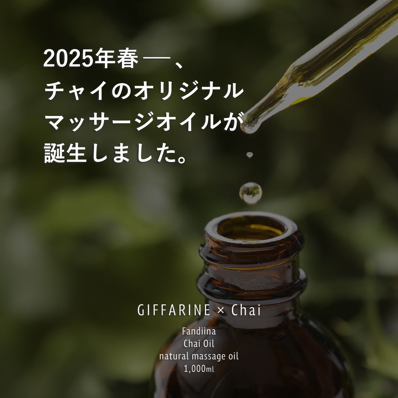 ファンディーナ😴