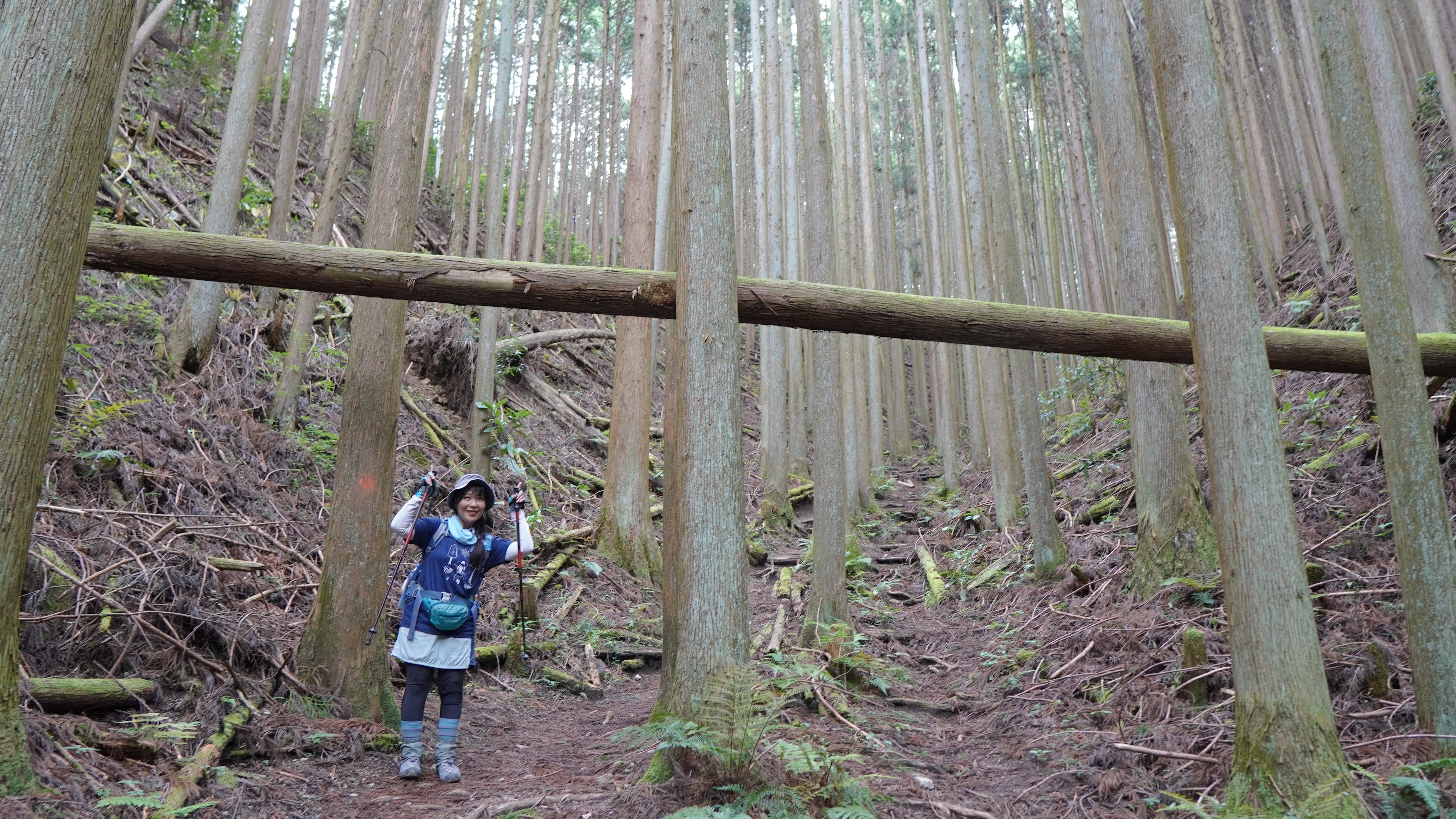 2025年5月31日(土) 金剛山にババ谷ルートで登ってきました✨