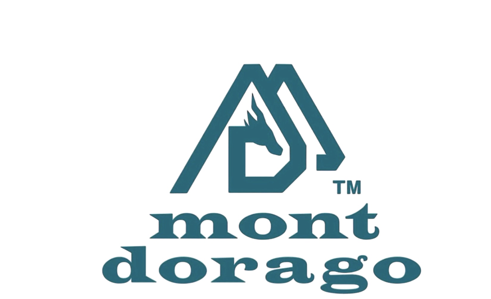 祝　BASE shop開店！