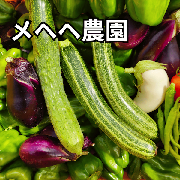 【メヘヘ農園】自然栽培でつくる米・マコモダケ・野菜（羽咋市）