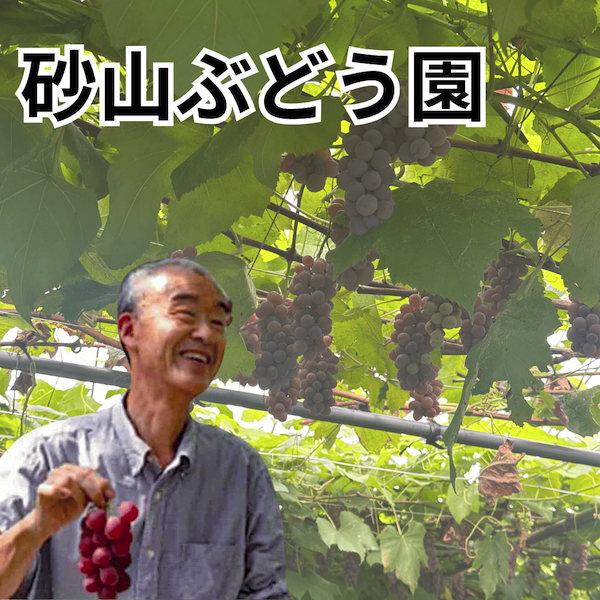 【砂山ぶどう園】農薬・肥料不使用の「自然栽培完熟干しぶどう(セミドライ）」羽咋市