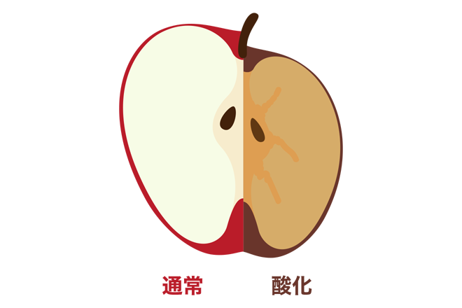 私たちの体内で起こる「酸化」とは？