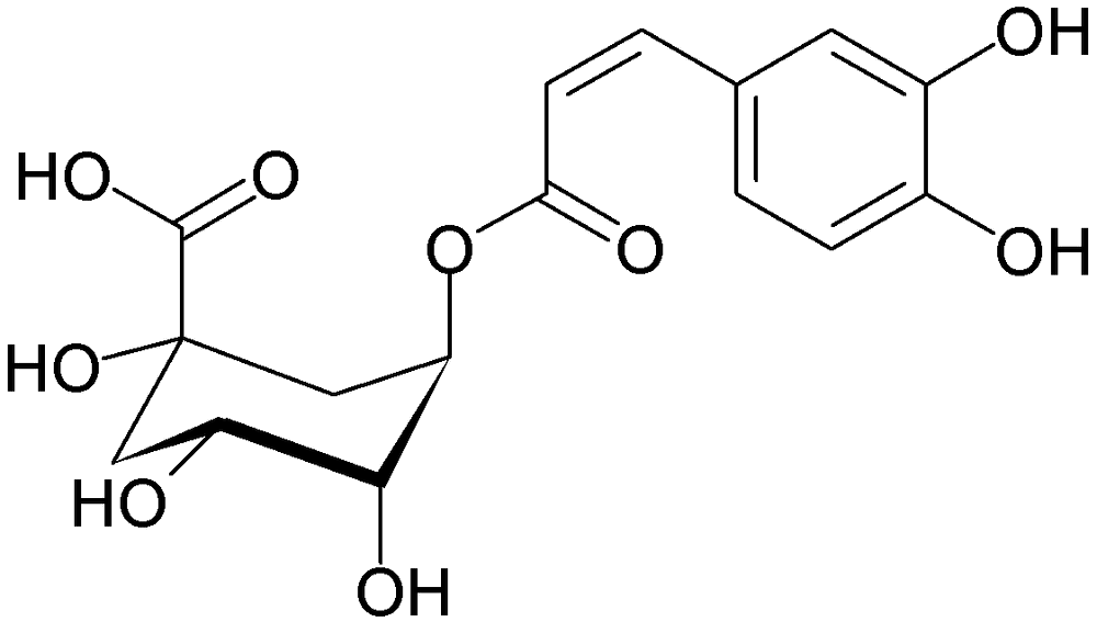 抗酸化作用の高いポリフェノール（クロロゲン酸）たっぷりの珈琲って知ってますか？