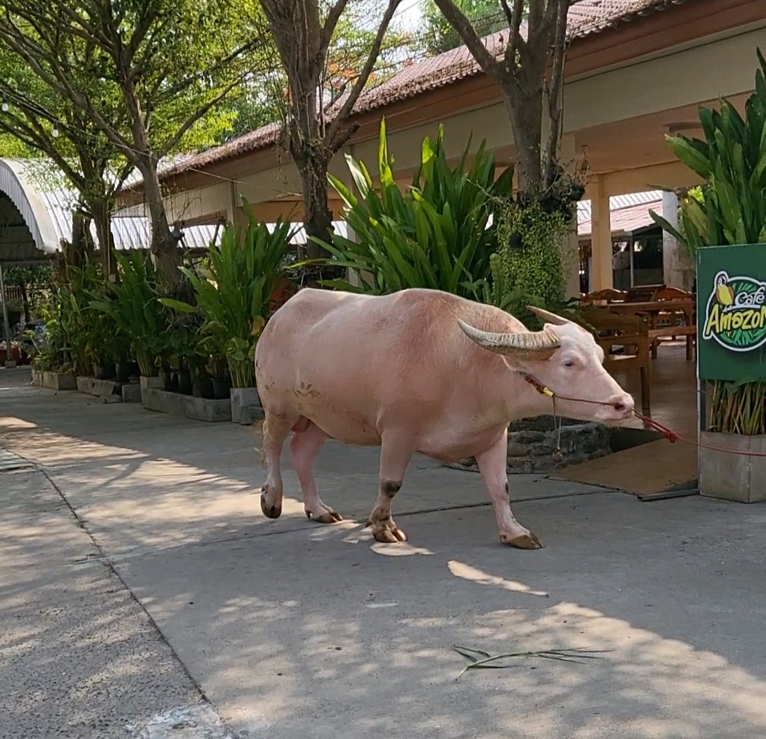 店名の由来について