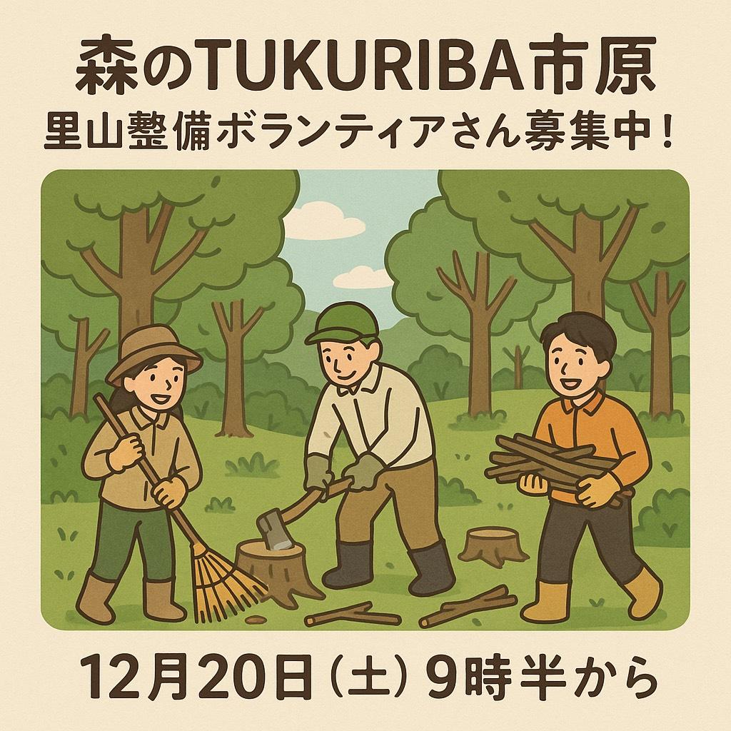 12/20市原で竹林整備!