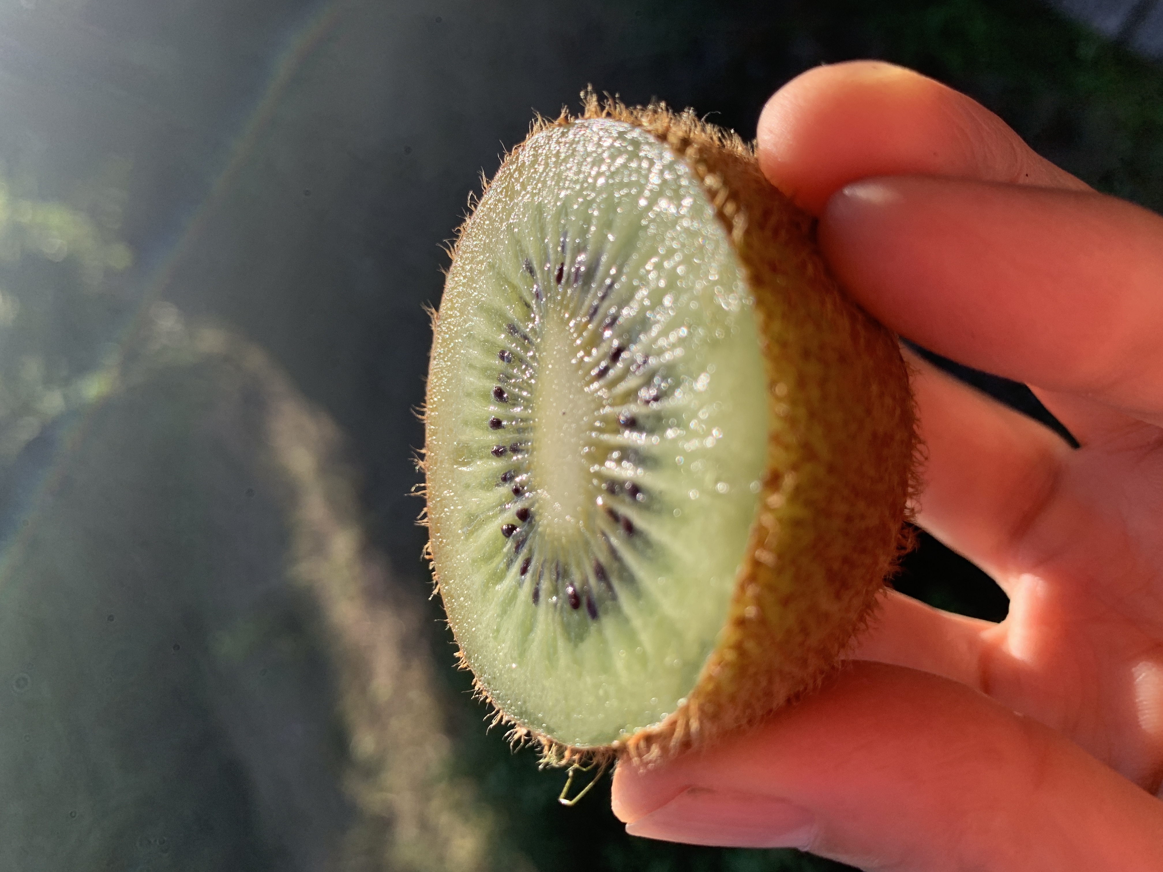 最高の美味しさに!