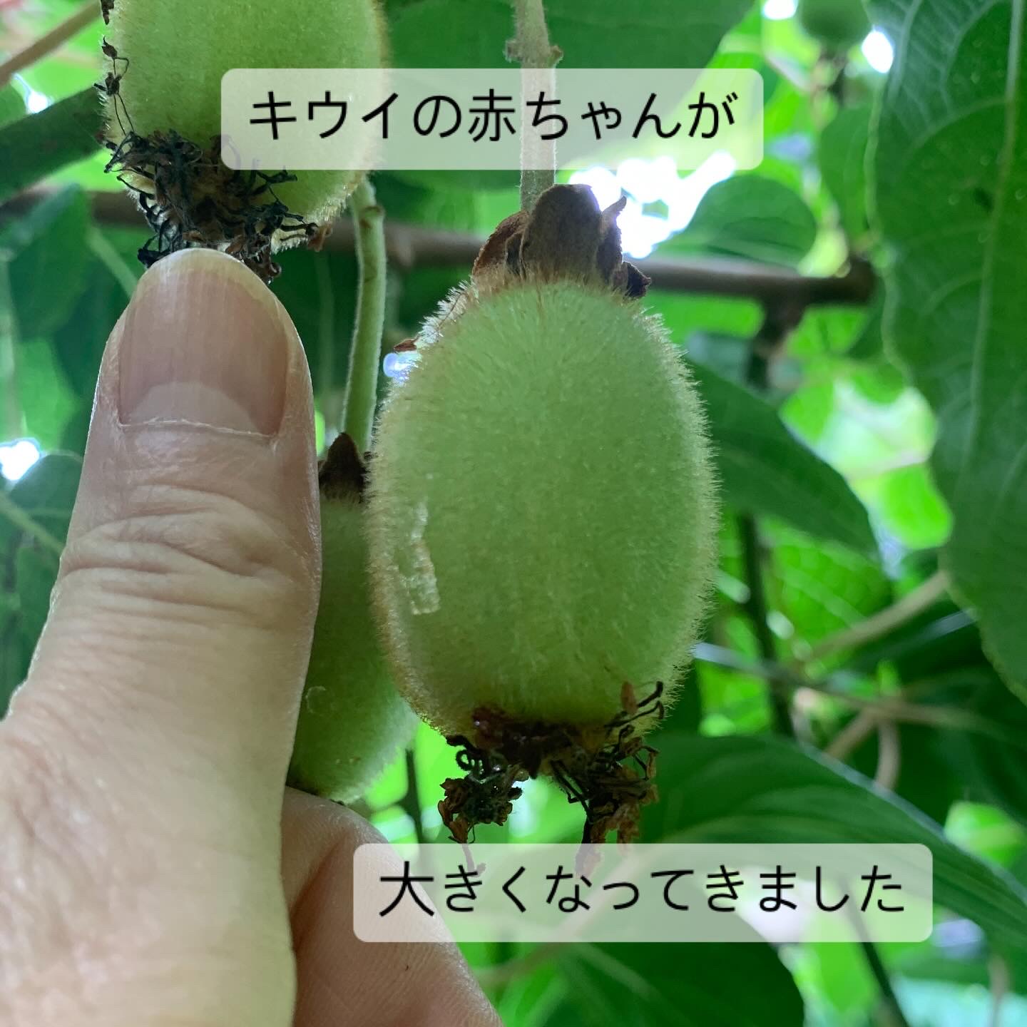 すくすく成長中！