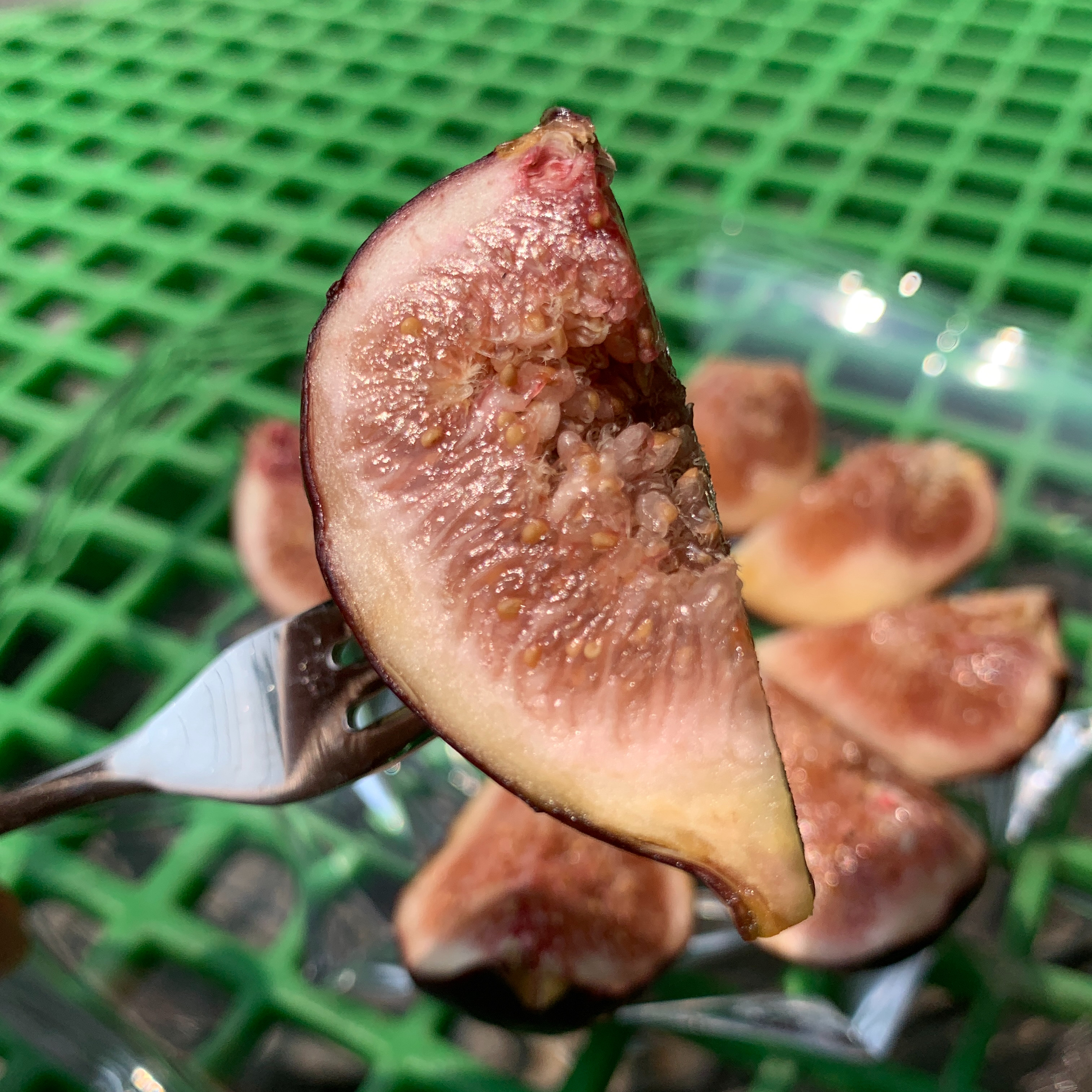 イチジクでスッキリ!