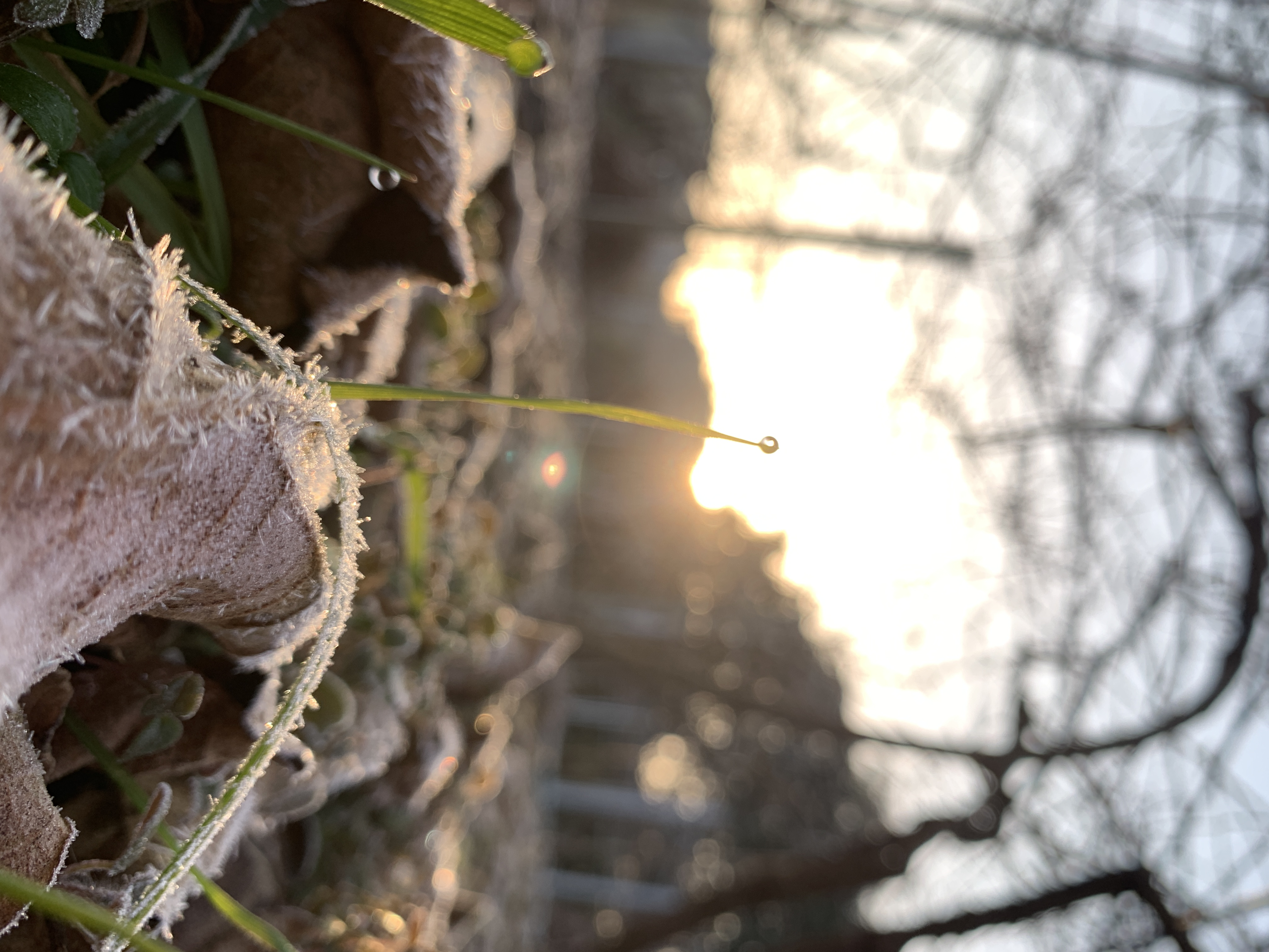 寒くなったら♪