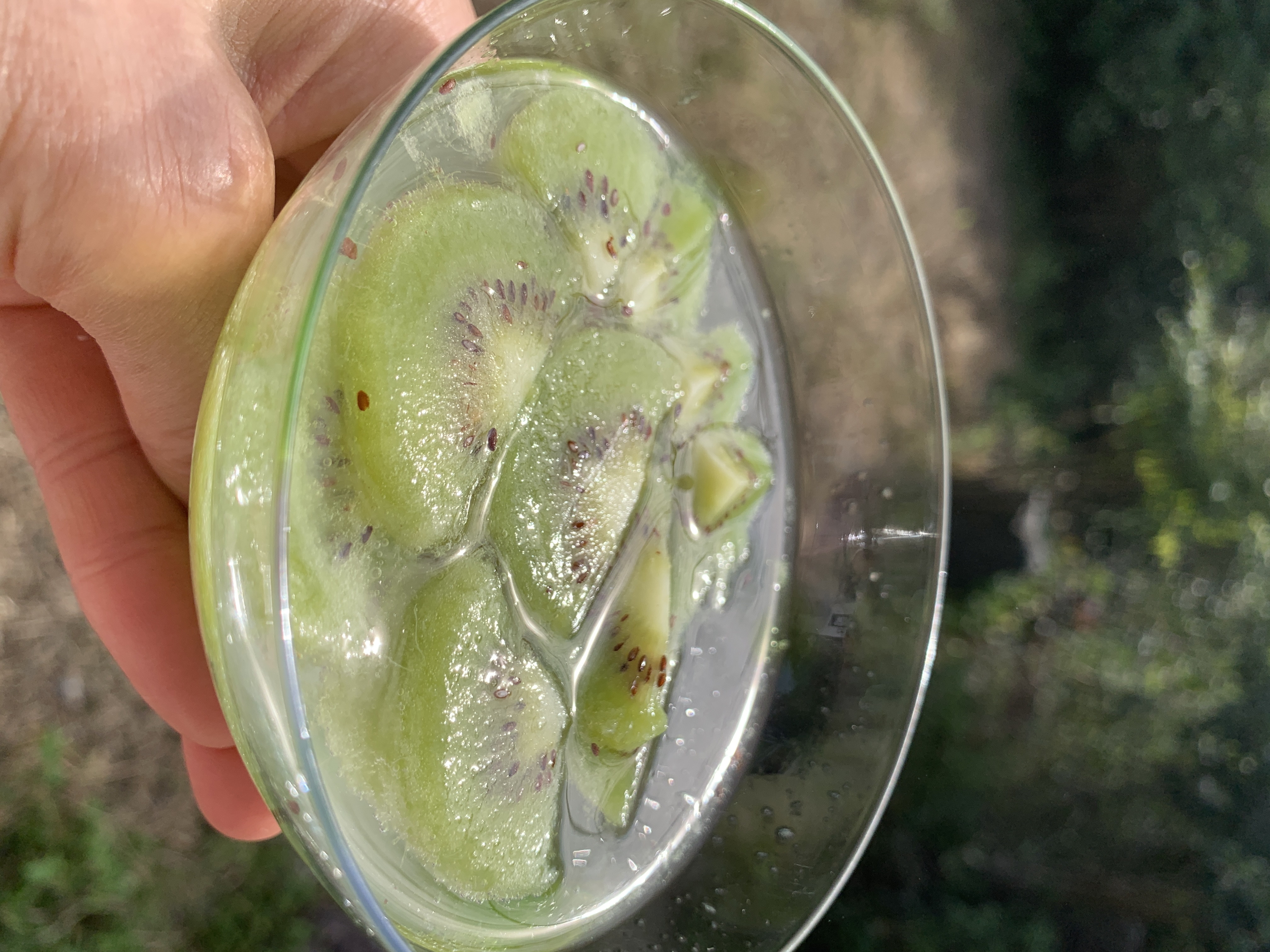 爽やかキウイソーダ