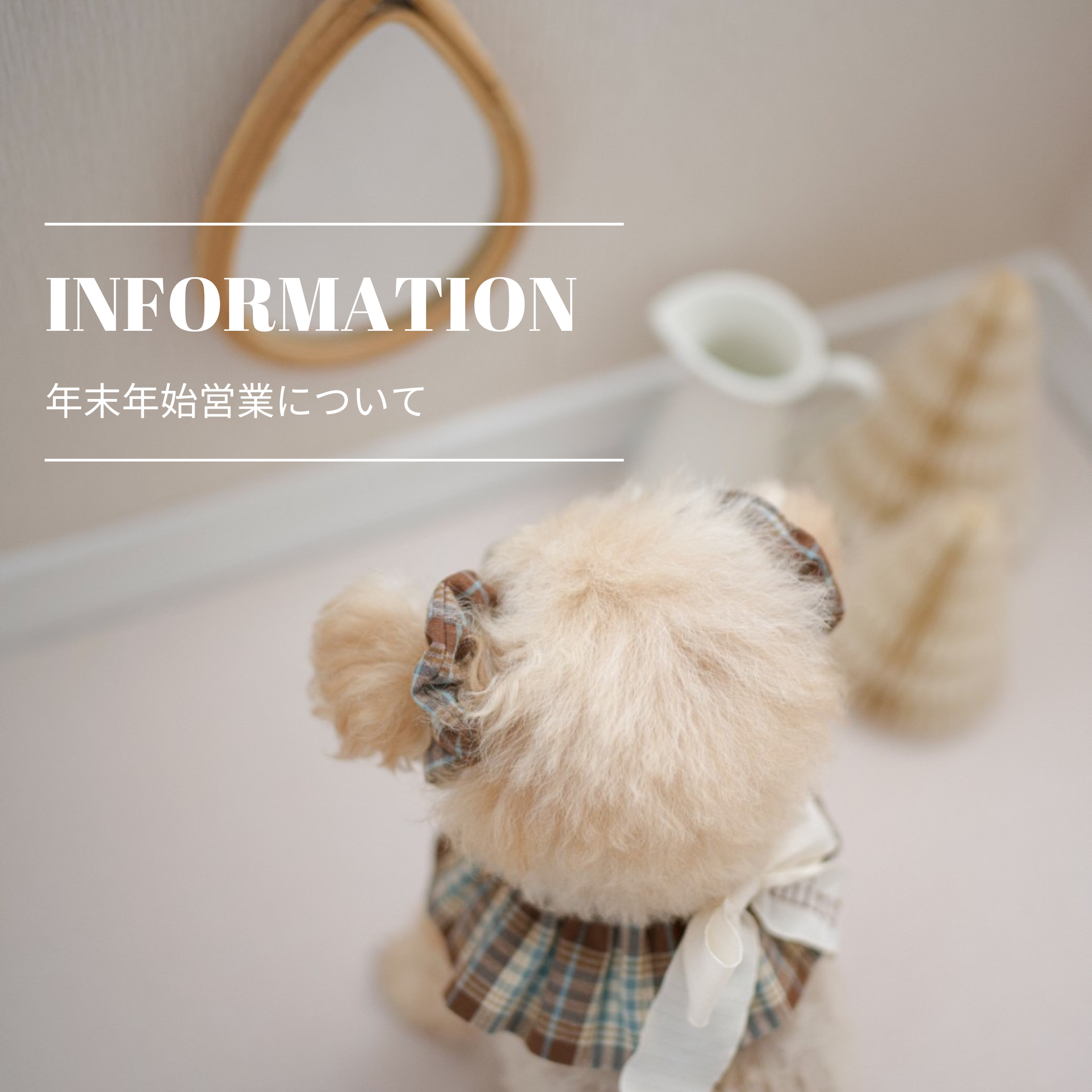 2024年 年末年始休業について