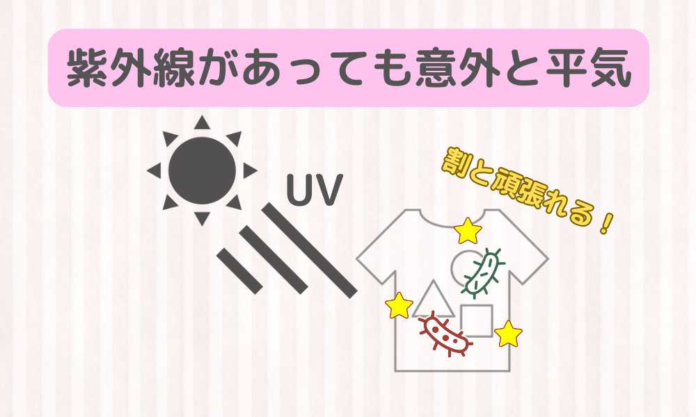 「日光消毒」よりも「早く乾かす」方が効果高い？？