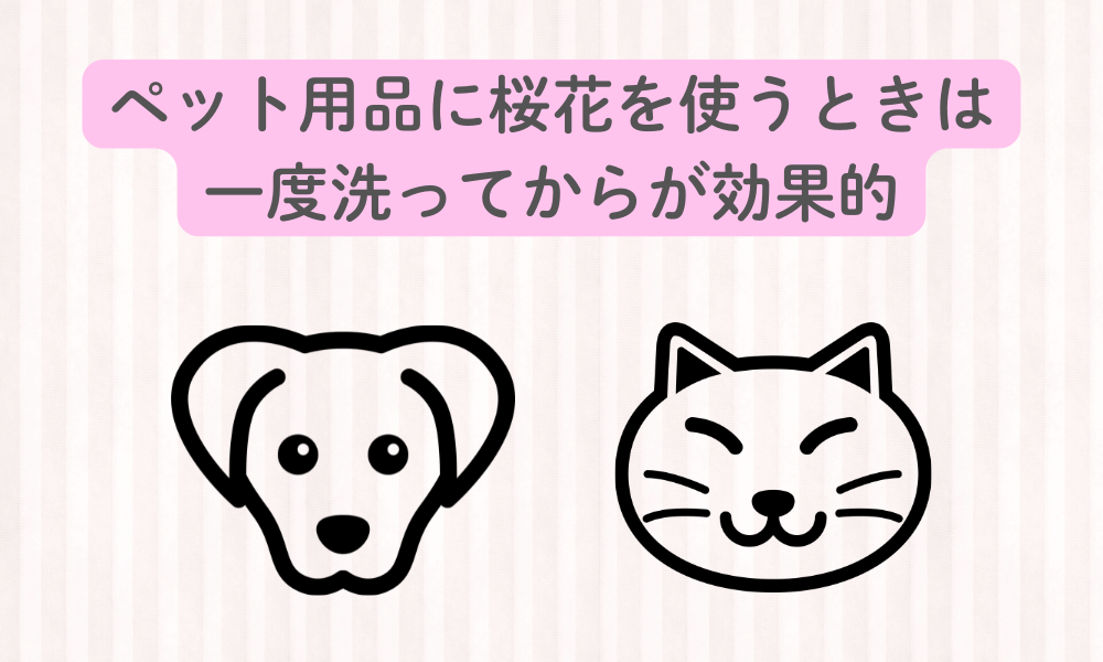 犬・猫の「ペット臭」対策｜皮ふ構造と常在菌から科学で読み解く原因とケア方法