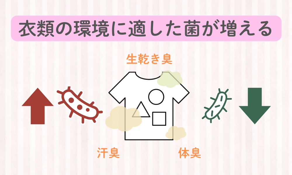 え、服にいる菌って違うの！？菌と衣類の不思議な関係