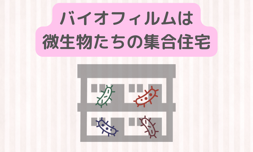 洗濯しても取れない嫌な臭い、その原因は“微生物の集合住宅（バイオフィルム）”だった！？
