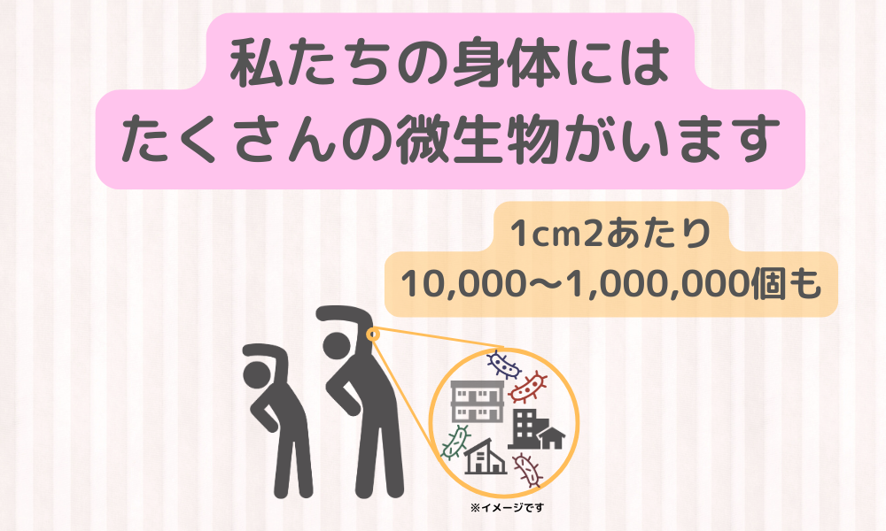 若肌にも関与？「皮ふ」には私たちの身体の細胞よりも多い数の微生物｜その役割を徹底解説！