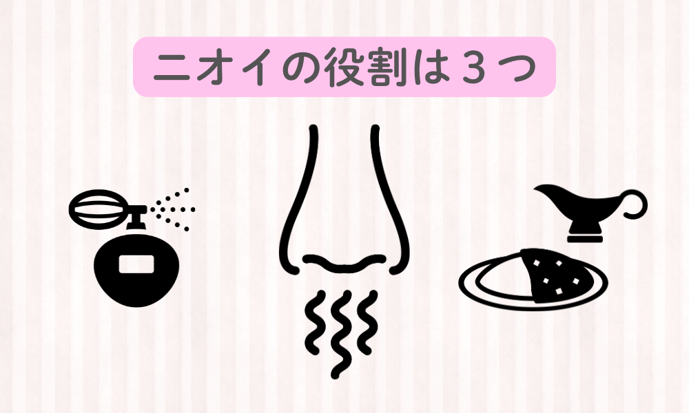 そもそもニオイの役割は？期待や警告、相性を見つける役割をご紹介