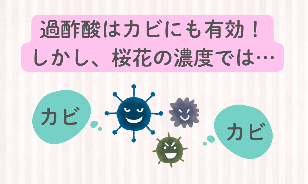 桜花はカビに効く？効果の限界と対処法を正直に