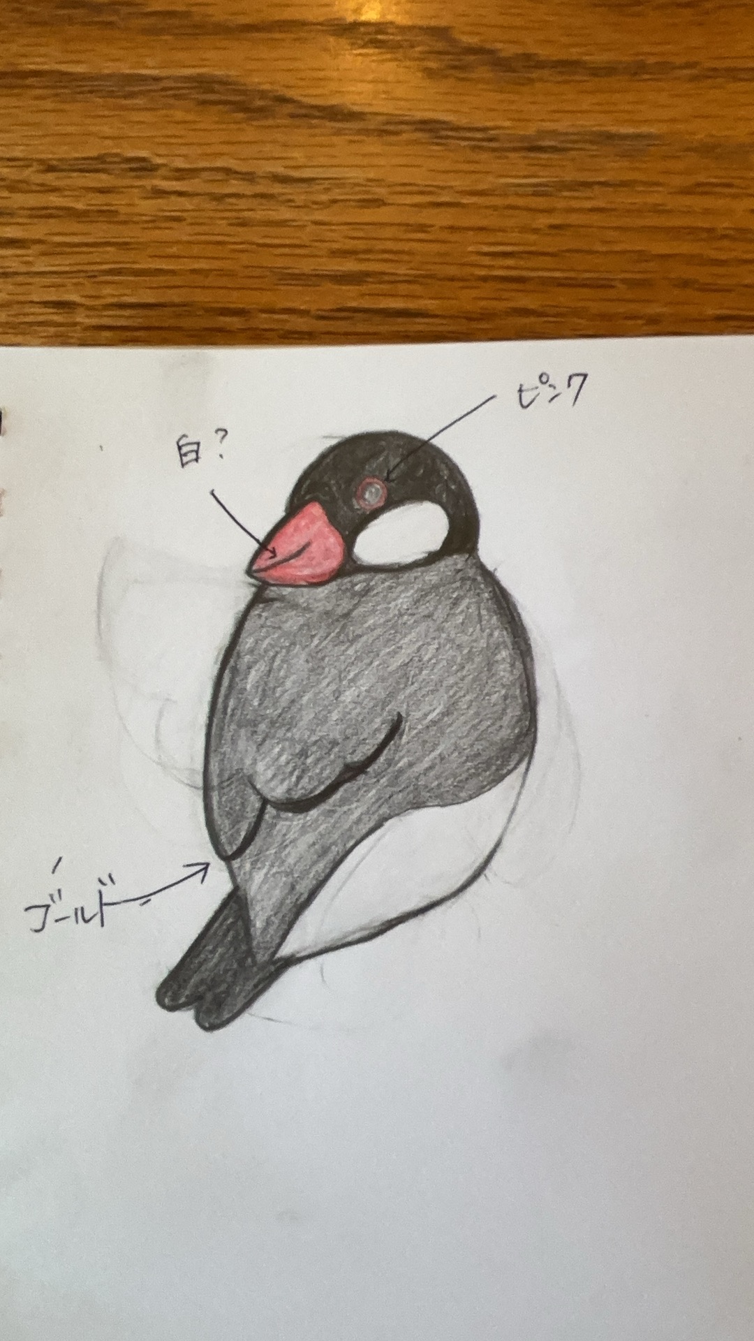 ブログはじめました！！
