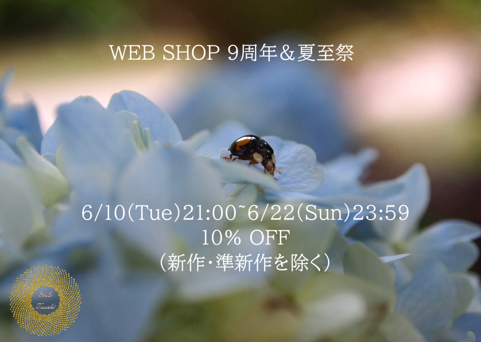 6月のWEB SHOP更新と期間限定SALEのお知らせ