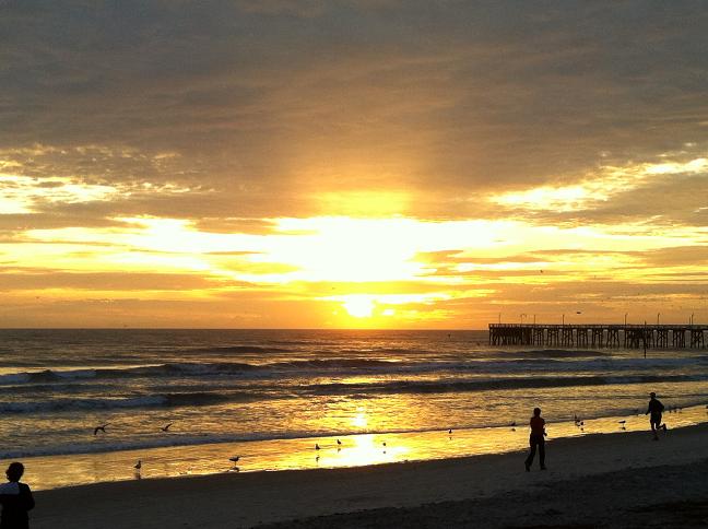 2月のWEB SHOP更新のお知らせ