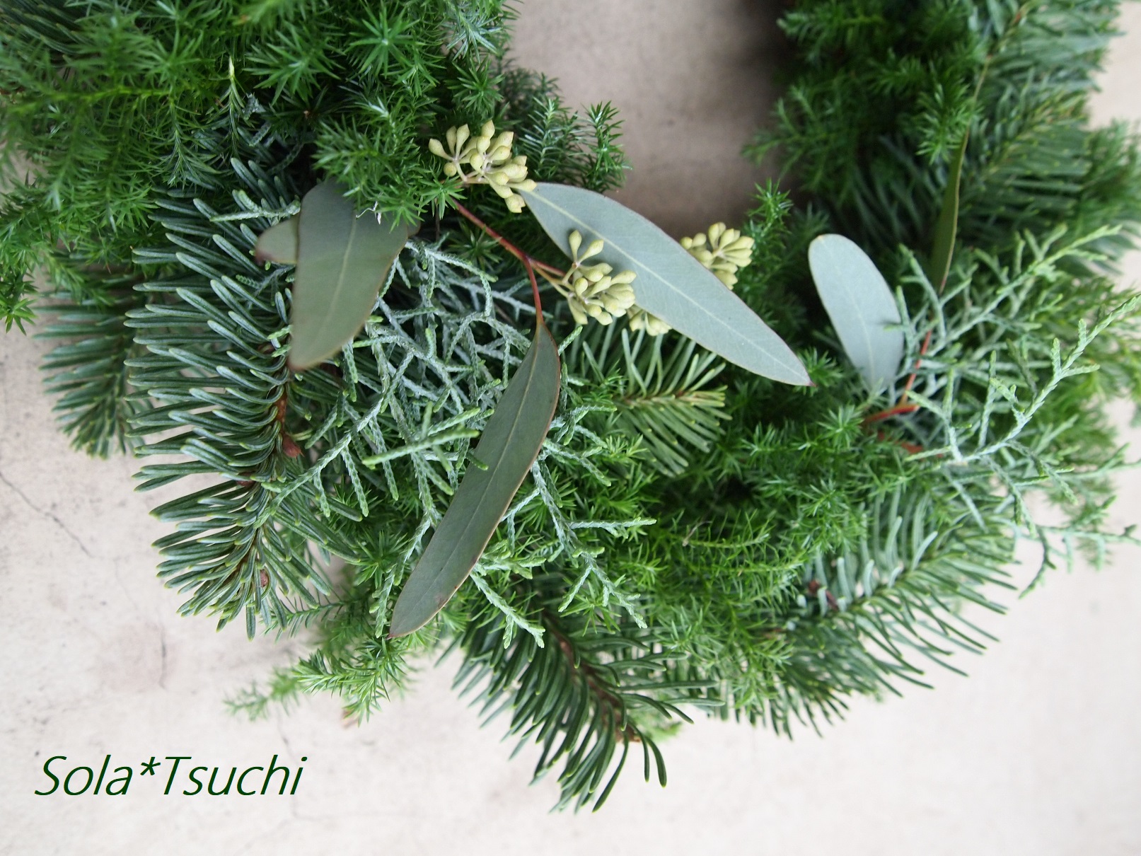 12月のWEB SHOP更新のお知らせ