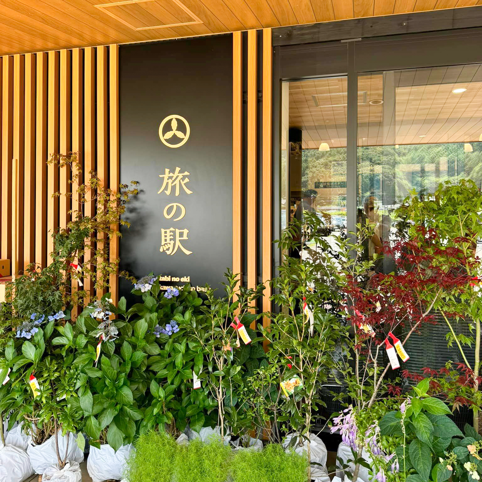 【出店情報】旅の駅 kawaguchiko base