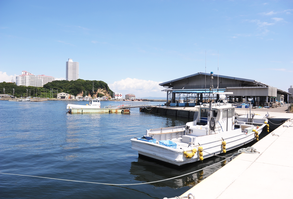 知多半島の海について
