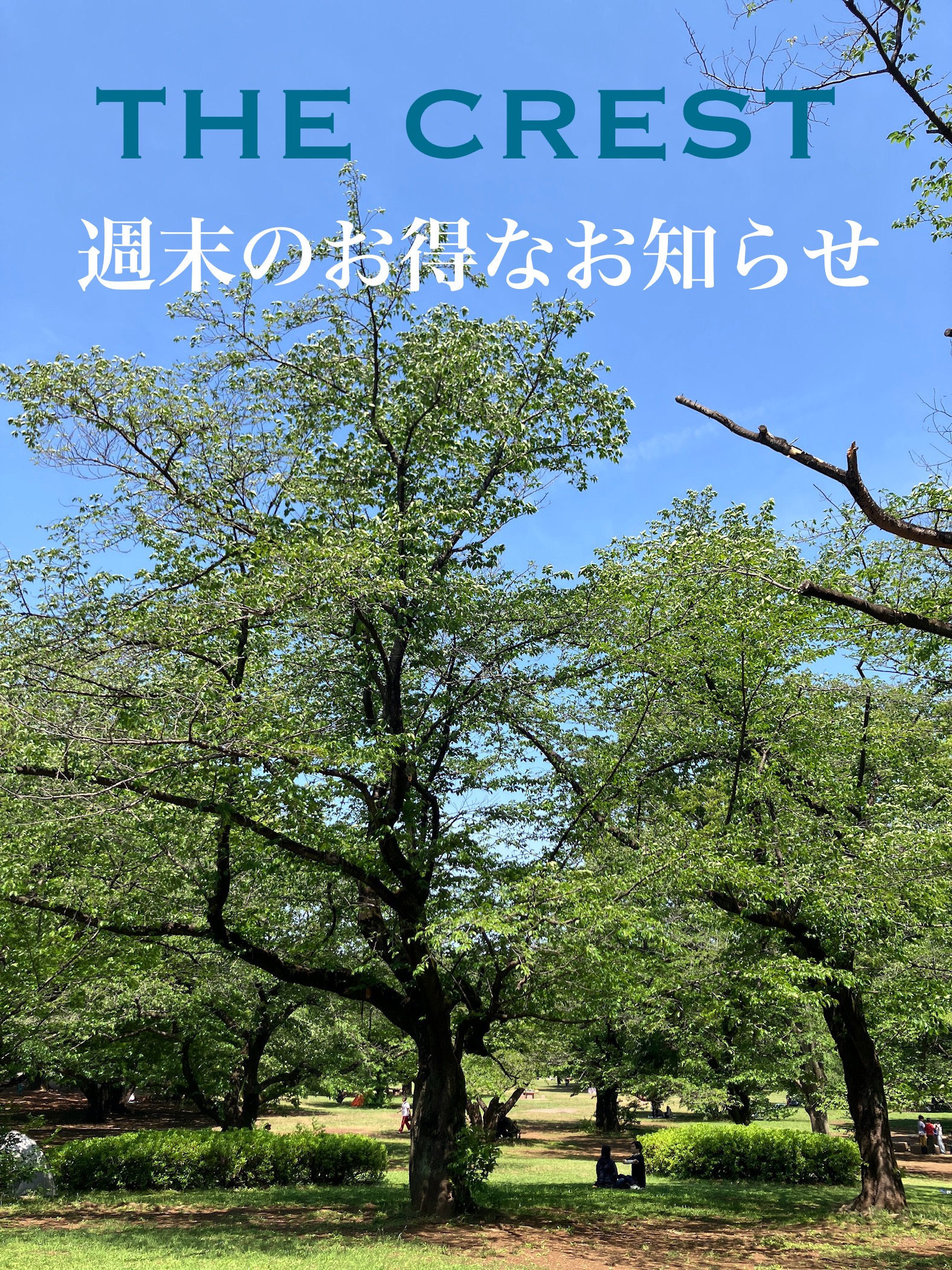 5.23(金)〜 お得なお知らせ