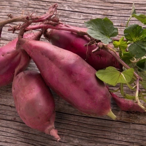 美肌の人ほど“さつまいも”を食べている理由。知られざる美容メカニズム